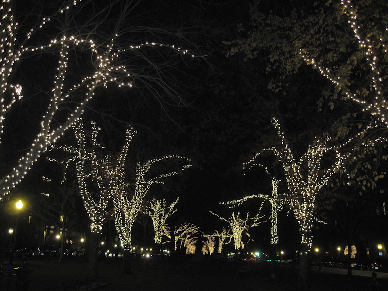 why christmas lights aren t on big trees along the idaho why christmas lights aren t on big trees along the idaho